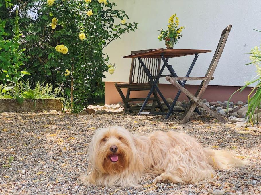 Gaestehaus Im Garten Zeitlofs Ngoại thất bức ảnh